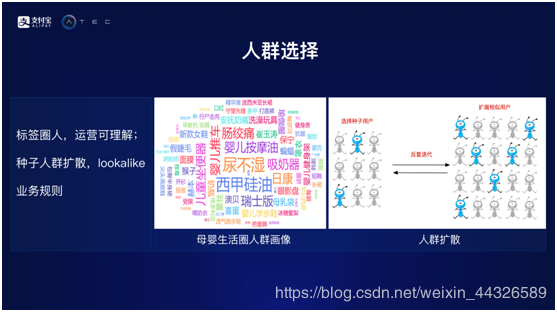 2024年管家婆的马资料55期，详细解答解释落实_qk351.85.71